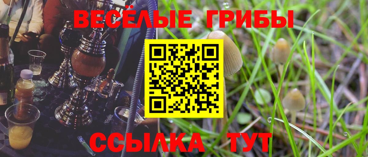 Галлюциногенные грибы мухоморы  Вход с VPN  Иваново 
